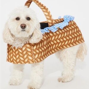 Wicker Basket Dog Costume with Blue Accents -
